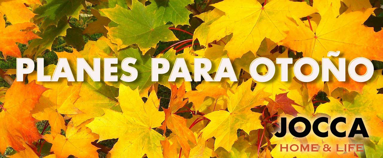 planes-para-otoño-jocca