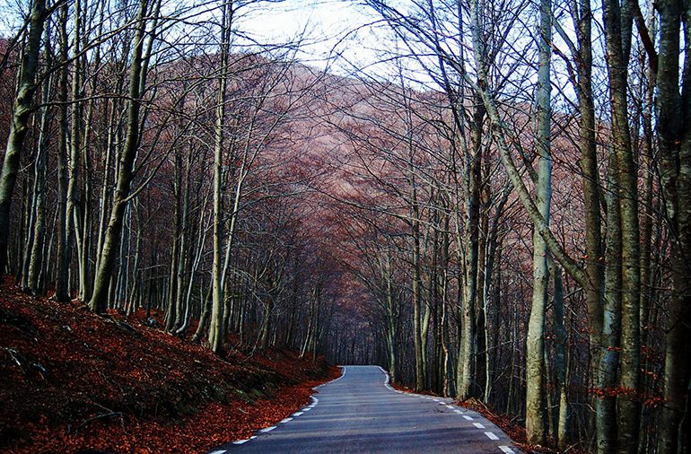 Ideas para fines de semana de otoño perfectos