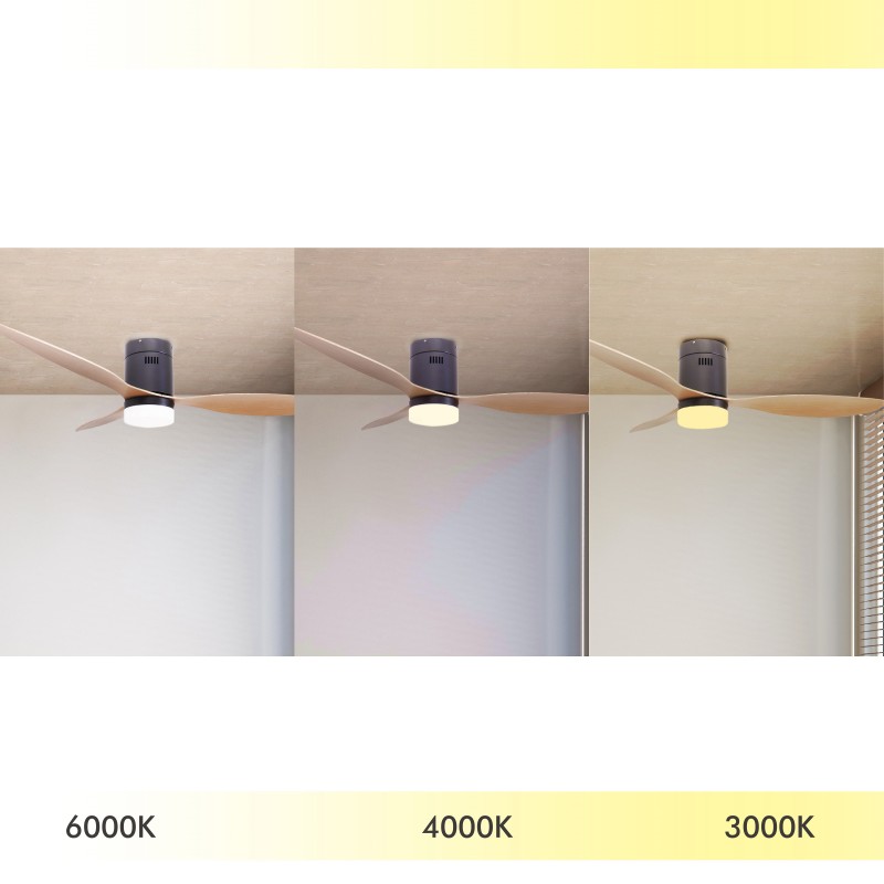 Loft ventilator med lys og sommerfunktion / vinter