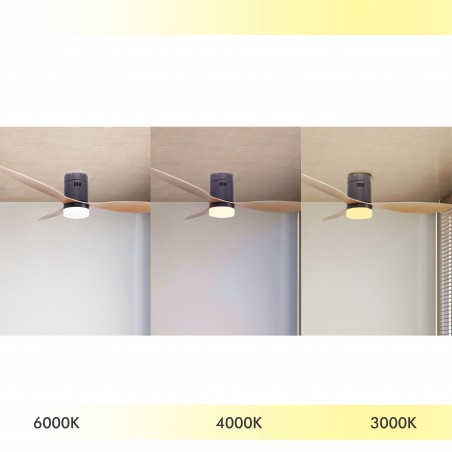 CEILING FAN WITH LIGHT AND SUMMER/WINTER FUNCTION