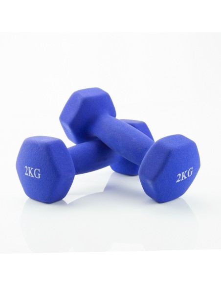 SET OF 2 WEIGHTS (2KG OR 4 KG EACH) 2
