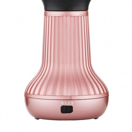 Antifrivee ion diffuser droger