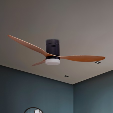 CEILING FAN WITH LIGHT AND SUMMER/WINTER FUNCTION