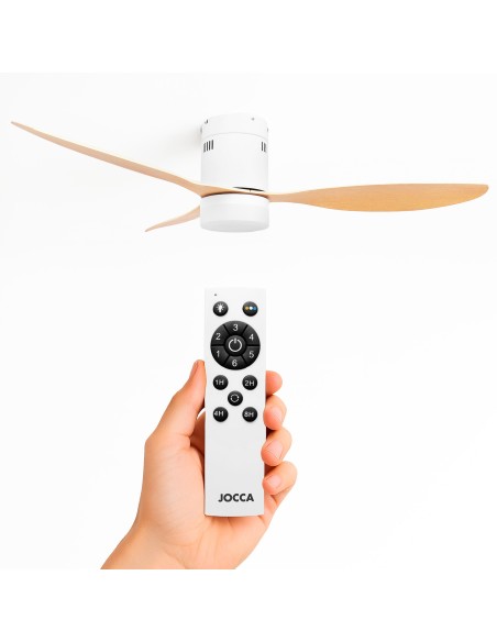 CEILING FAN WITH LIGHT AND SUMMER/WINTER FUNCTION 2