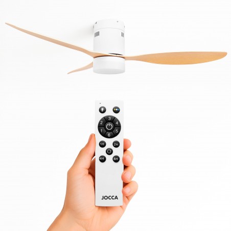 Ventilateur de plafond avec fonction de lumière et d'été / hiver