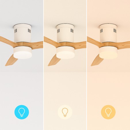 Ventilador de teto com luz e função de verão / inverno