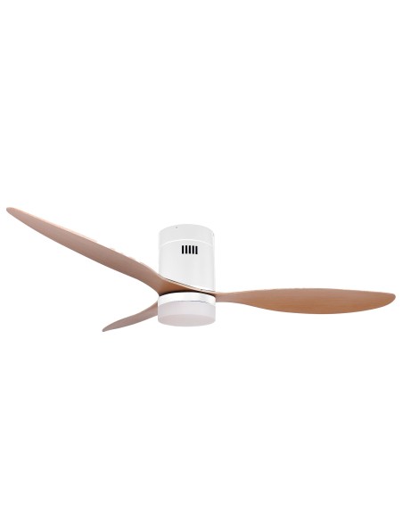 Stropni ventilator s svetlobno in poletno funkcijo / zimo 2