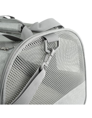 Trasporto di animali domestici