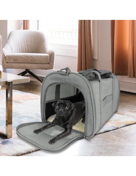 Trasporto di animali domestici