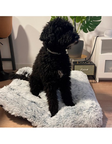 Letto per capelli rettangolare per animali...