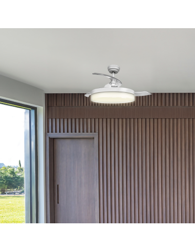 Ventilateur de plafond avec lames légères et...