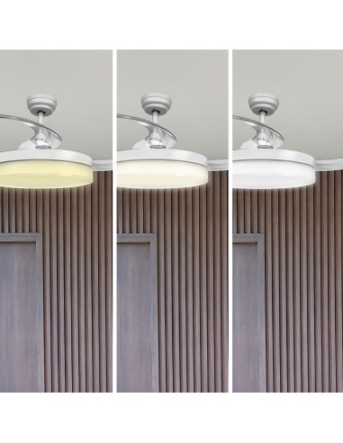 Ventilateur de plafond avec lames légères et...