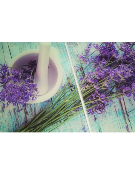 Ensemble de 2 couvertures 52x30 cm VitrOperamics