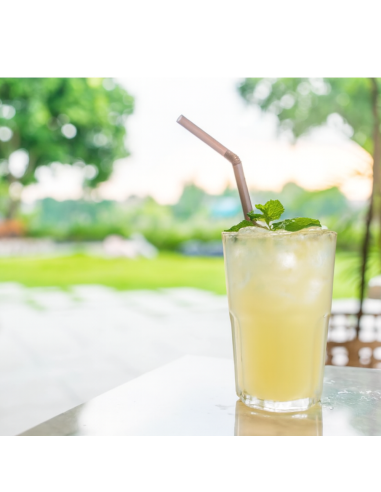 DISPENSATORE DI BEVANDE 3.5L