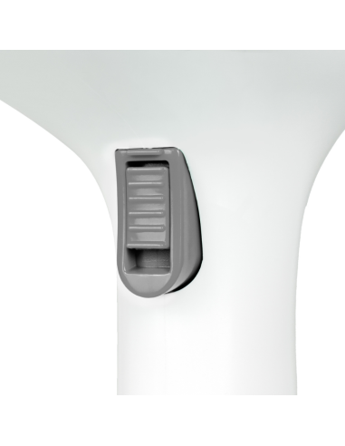 STEAM VERTICAL IRON WITH REMVABLE DEPOSIT