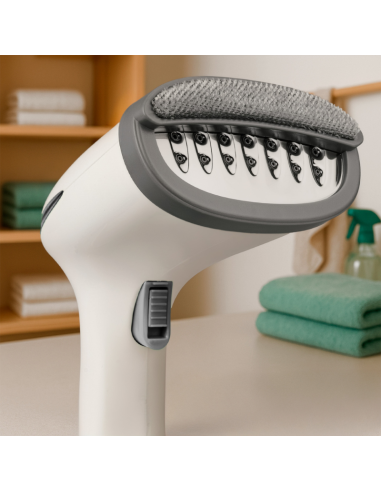 STEAM VERTICAL IRON WITH REMVABLE DEPOSIT