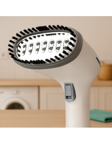 STEAM VERTICAL IRON WITH REMVABLE DEPOSIT