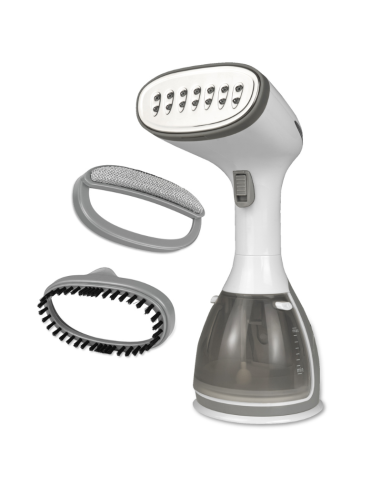 STEAM VERTICAL IRON WITH REMVABLE DEPOSIT
