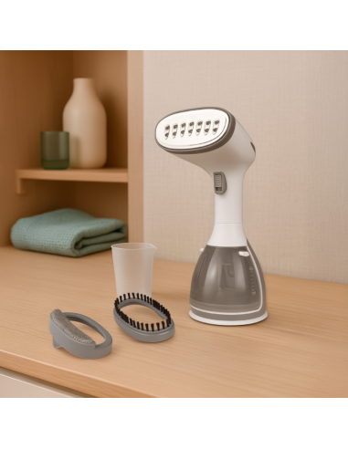STEAM VERTICAL IRON WITH REMVABLE DEPOSIT