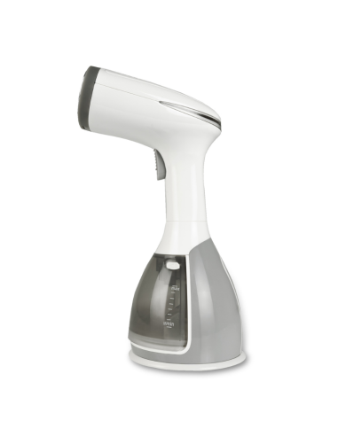 STEAM VERTICAL IRON WITH REMVABLE DEPOSIT