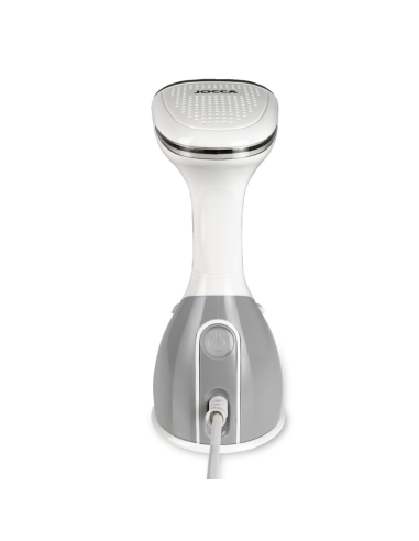 STEAM VERTICAL IRON WITH REMVABLE DEPOSIT