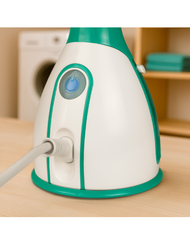 STEAM VERTICAL IRON WITH REMVABLE DEPOSIT