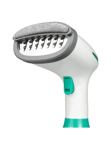 STEAM VERTICAL IRON WITH REMVABLE DEPOSIT