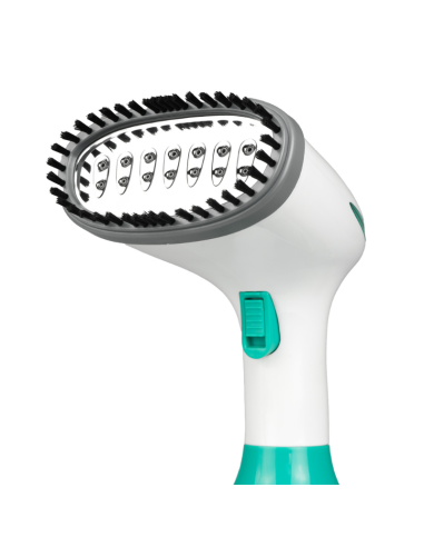 STEAM VERTICAL IRON WITH REMVABLE DEPOSIT