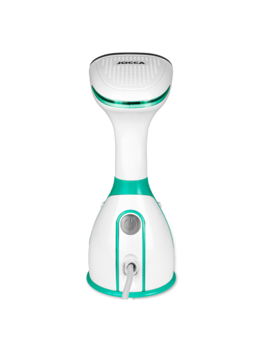 STEAM VERTICAL IRON WITH REMVABLE DEPOSIT