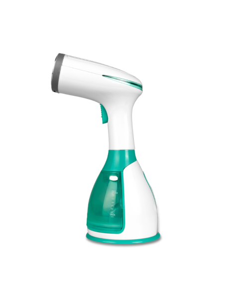 STEAM VERTICAL IRON WITH REMVABLE DEPOSIT