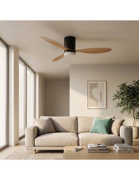 CEILING FAN WITH LIGHT AND SUMMER/WINTER FUNCTION