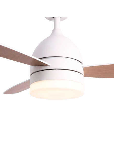 VENTILADOR DE TECHO CON LUZ 2