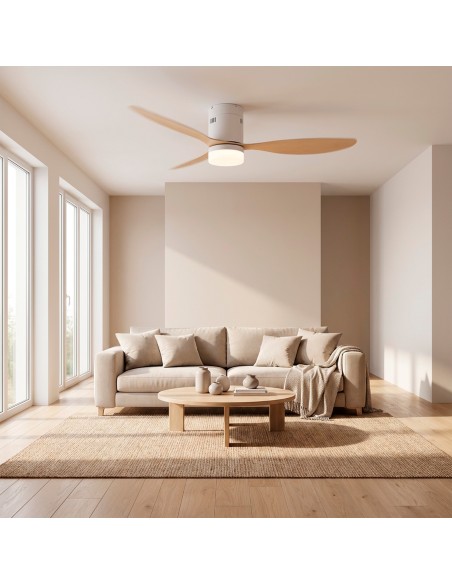Ventilatore a soffitto con funzione luce e estate / inverno
