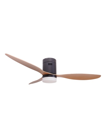 CEILING FAN WITH LIGHT AND SUMMER/WINTER FUNCTION 2