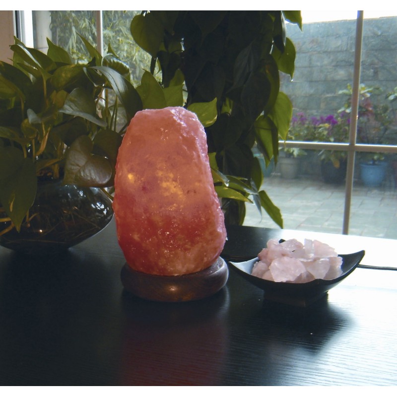LAMPADA DI SALE HIMALAYA (2 ST.) - 20W - T20/22