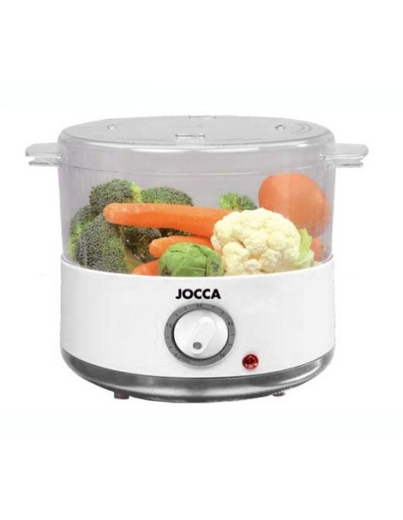 ELECTRIC STEAM COOKING - 400W 2