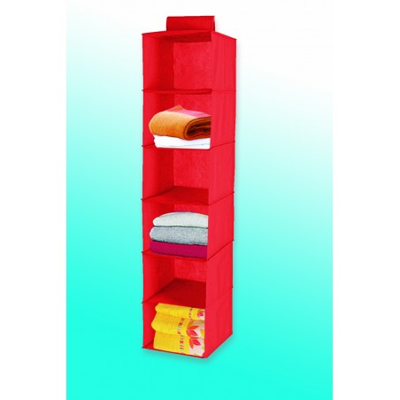 Organizator 6 polic