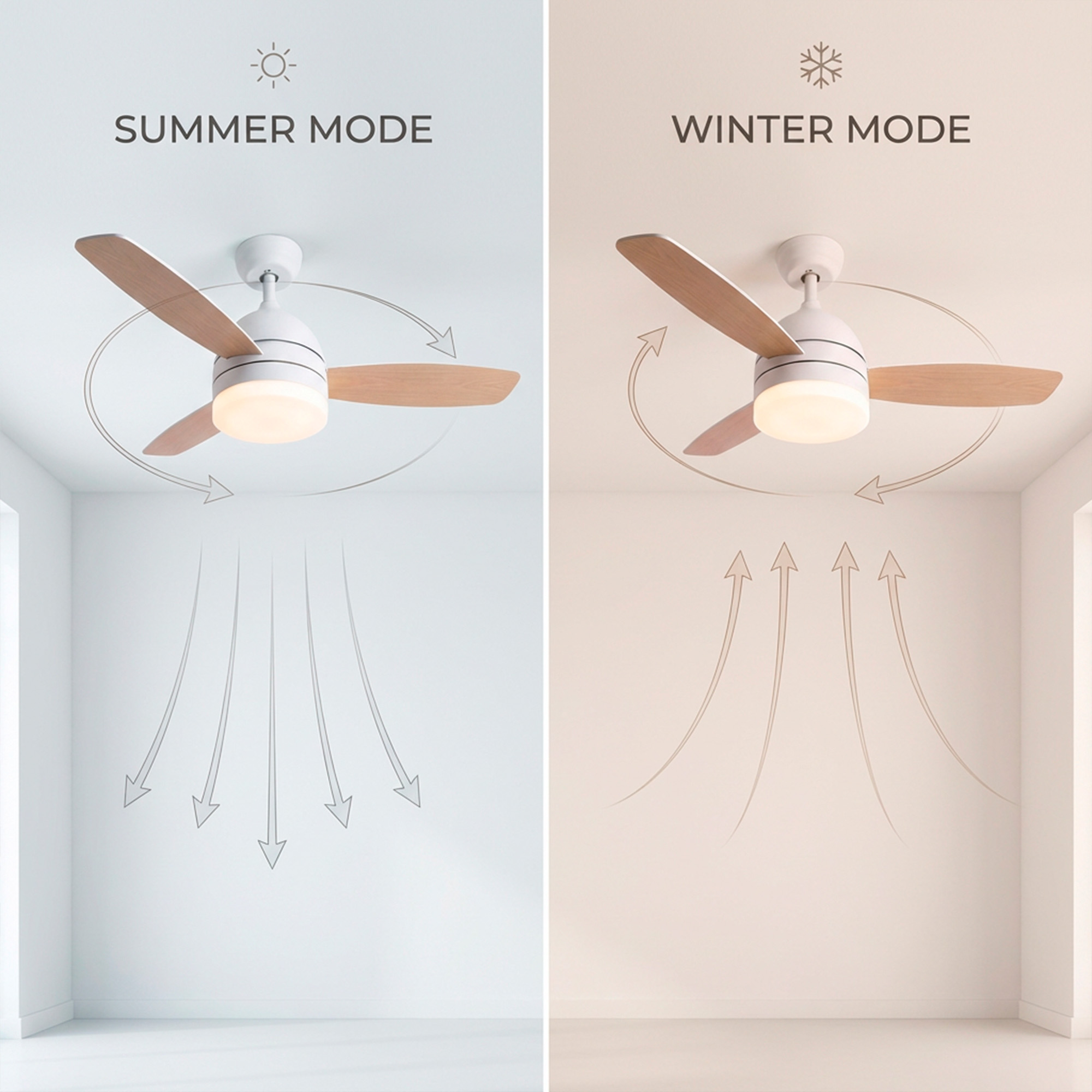 ventilador de techo verano invierno