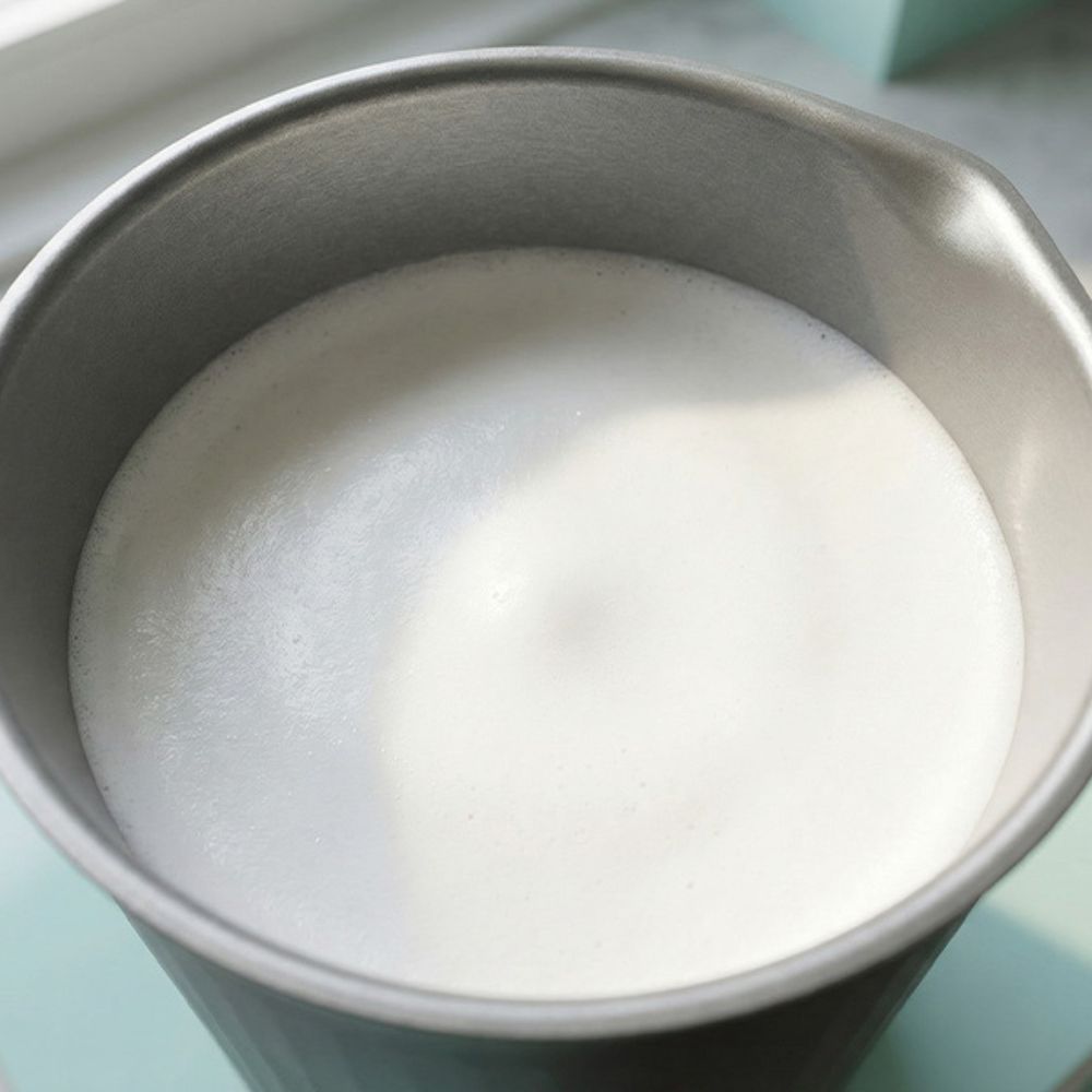 ESPUMADOR ELECTRICO JOCCA