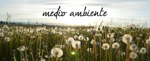 medio ambiente