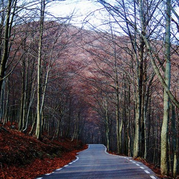 Fines de semana de otoño